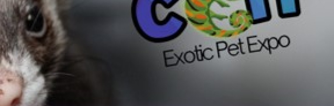 EXOTICON – EXOTIC PET EXPO